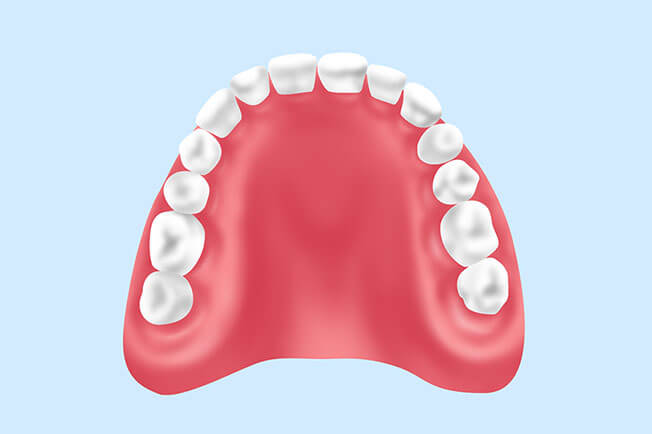 コンフォート義歯（総入れ歯・部分入れ歯）